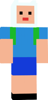 Fin