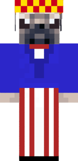 Uncle sam