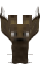 Bat