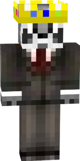 techno racoun