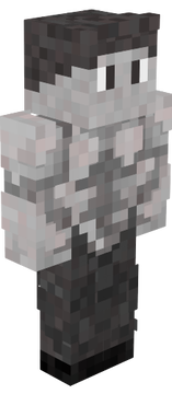 ACI CHAD