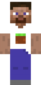 Preview of texture: Steve