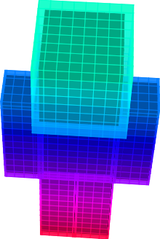 raindow tetra