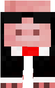 suit pig
