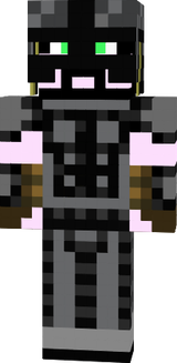 SkyrinBr