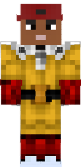 SAM PUNCH MAN