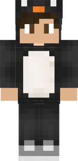 Pingouin2Swag