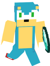 Sonic the hedgehog