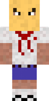 pioner