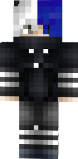 NinjaStealth22