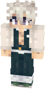 skin 