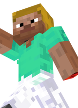 steve rdv