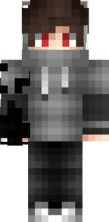 DOMIK1