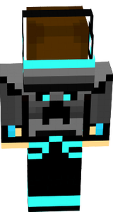 on_the-B§ss_skin
