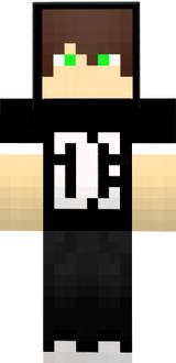 dsgs
