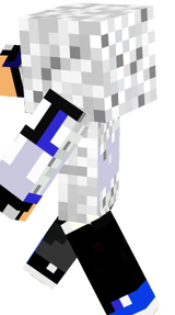 JoaoWICK