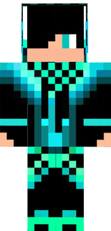 skin
