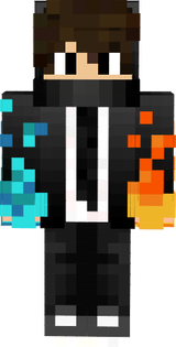 VigS