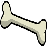 bone