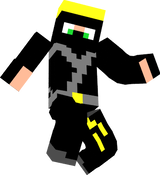Ninja