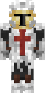 NinjaCrusader