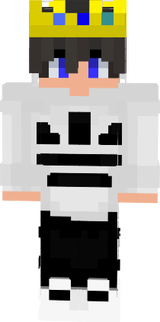 technoblade skin