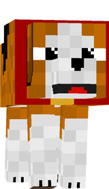 Beagle Dog to Guy
