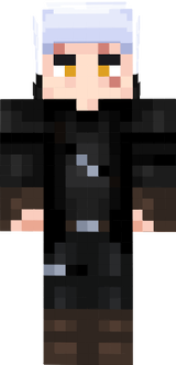 xdjgxjt