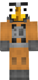 Skinpack NASA
