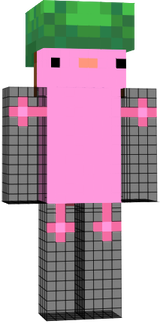 Ajolote2