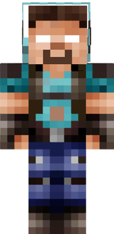 vech11