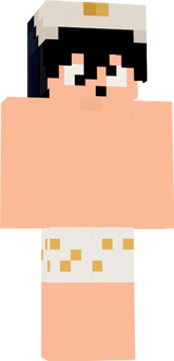 defeza pinguim v2