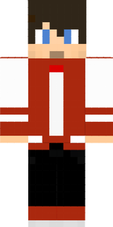 skin1