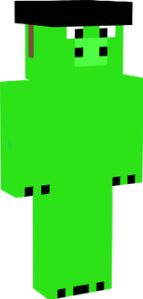 mr.minecraft