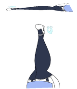 bottem