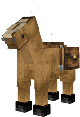 Kodo
