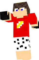 FlashPlay