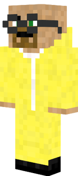 Heisenburg skin