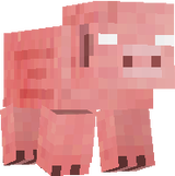 hero pig
