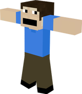 Main skin