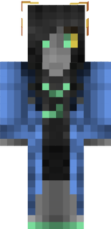 Visity