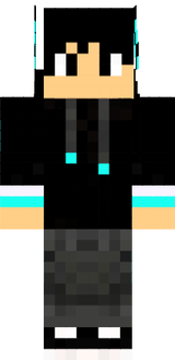DicoMMv2