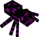 spider