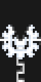 ZeNoRo_X