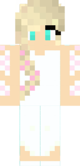 skin do minecraft