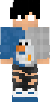 SKIN OFICIAL