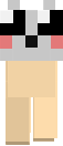 Nyan cat (IDK its just on this texture...)