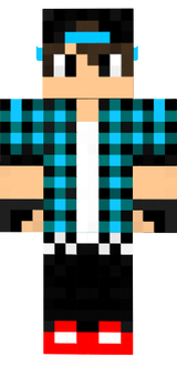 skin