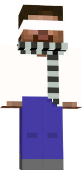 SteveCustom 3.0