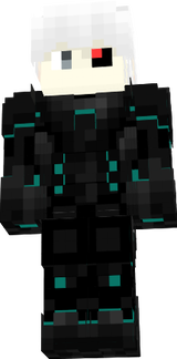 SaoKay 1.8 Skin 3D